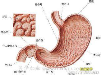 夏季该如何去“火” 健康小常识系列（165）