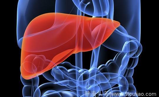 脂肪肝，离肝癌仅“一步之遥”！远离脂肪肝、调理脾脏是关键！