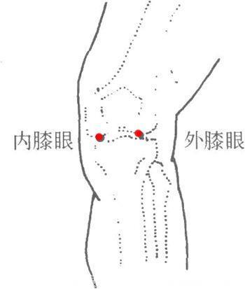 膝骨关节炎循证针灸实践
