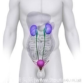 图解前列腺肥大的11种信号