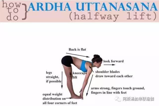 瑜伽姿势系列 Ardha Uttanasana｜半前屈加强脊柱伸展