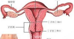 出现子宫内膜增生的病因是什么