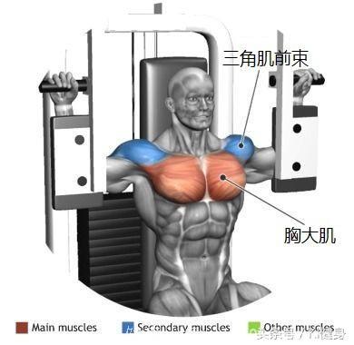 胸大肌的固定器械训练动作