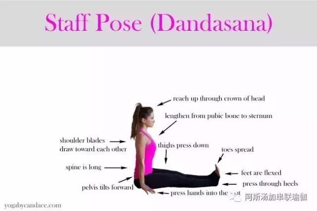 瑜伽姿势系列：Dandasana｜棍式