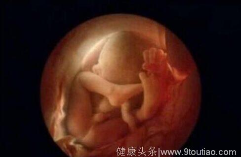 怀胎十月，受精卵在子宫里都做些啥呢？