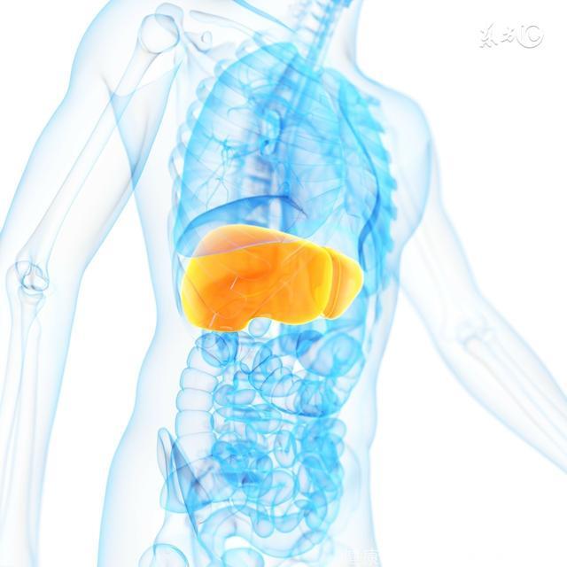 脂肪肝6类高危人群，如果你在其中，赶紧去查查肝！