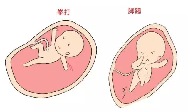 胎动居然暗示了这么多信息！准妈妈必须要懂的“胎语”