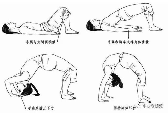 瑜伽各种体位方法概述与功效（1~5）（每日5个体式）