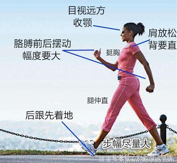 想长寿，健步走，可提升心肺功能、防治心血管疾病