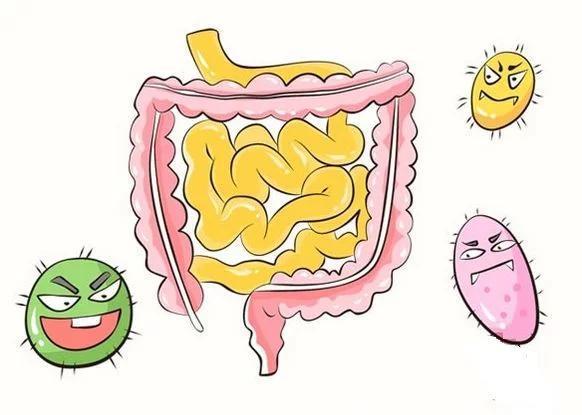 “拉肚子”不仅仅是“吃坏肚子”了，反复出现时应警惕哪些疾病