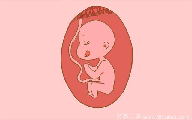 孕期胎儿都在妈妈肚子里干啥？看完后才知道他们学了这么多本领