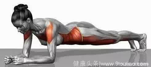 最好腹肌锻炼，plank平板支撑9个动作强化腰腹力量！