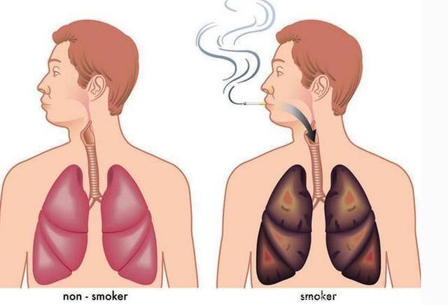 吸烟伤肺，但如果能完成这几个小测试，证明你的肺还很健康！