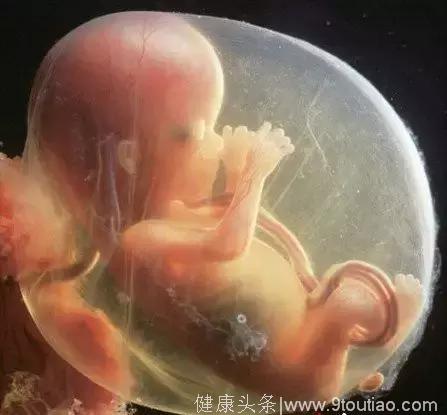 假如胎儿在肚子里能说话，这10个月宝宝想对妈妈说这些！