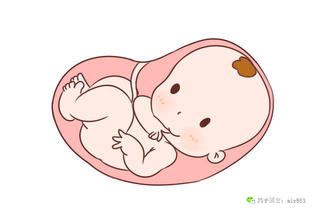 孕期吃什么保胎，这几种食物最有助于保护胎儿安全
