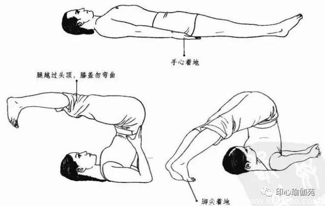 瑜伽各种体位方法概述与功效（11~15）（每日5个体式）