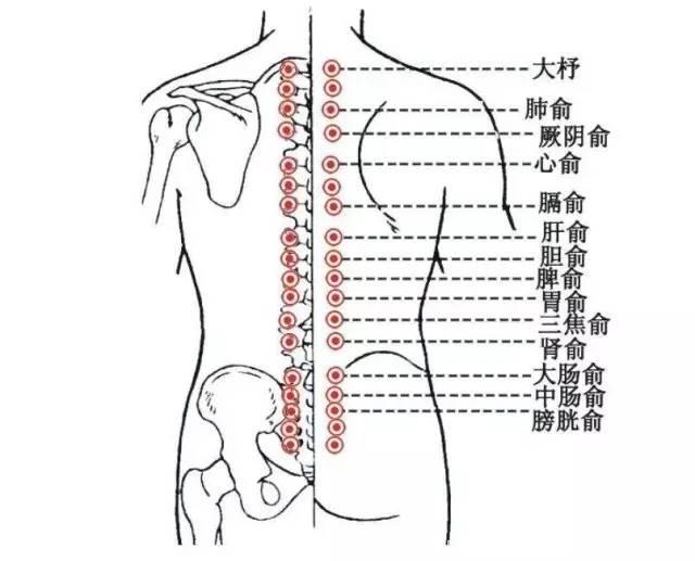 “太累”是一种病，艾灸让你神采飞扬！