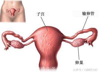 女人绝经的3个早期症状，不得不防？如何如预防卵巢衰退？