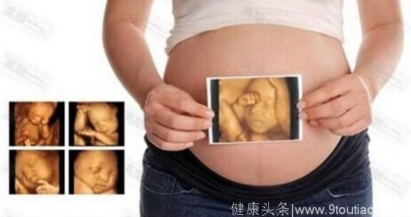 怀孕5个月啦，吃什么食物好？孕5个月胎儿发育情况？