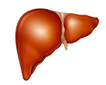 养肝就是养命，简单三招教你保持肝脏健康，远离脂肪肝
