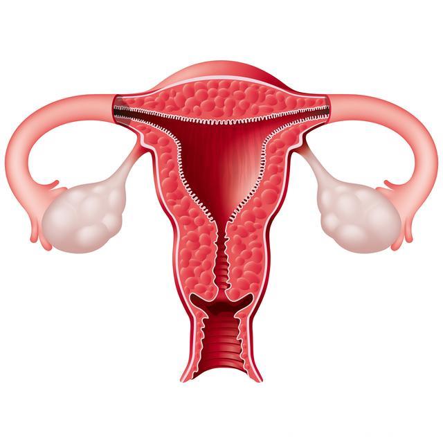天呐！预防卵巢囊肿，做这些检查真的很重要！