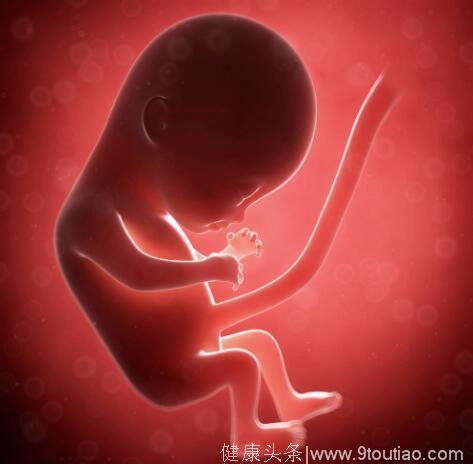 为何现在这么多孕妇b超检查的时候都没胎心？看完心疼女人一万遍