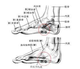 养生：脚上有一个穴位是糖尿病的专用穴！