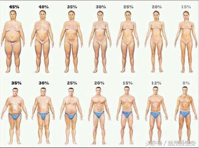 你知道体脂多少能看到腹肌吗？高效的腹肌撕裂动作！