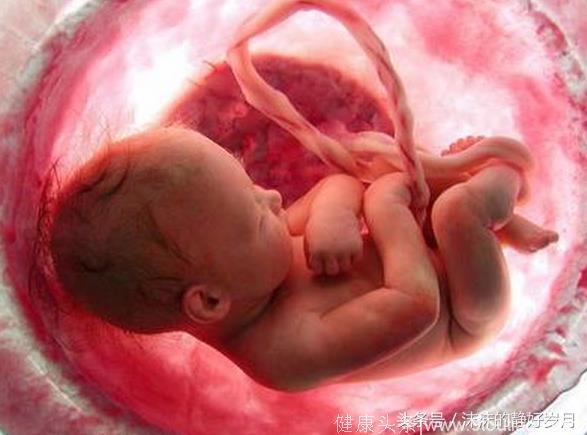 胎宝宝是在子宫内封闭成长的，那么他是如何解决自己腹内10个月的吃喝拉撒问题呢？