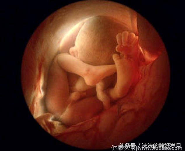 胎宝宝是在子宫内封闭成长的，那么他是如何解决自己腹内10个月的吃喝拉撒问题呢？