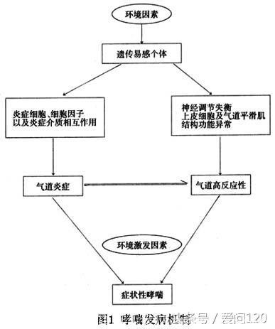 一滴血可以检查嗜中性粒细胞诊断哮喘！