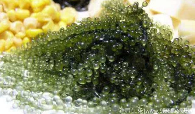 这种不起眼的果子海里才有，日本专家说吃它可以长寿，还有抗癌抗肿瘤作用！