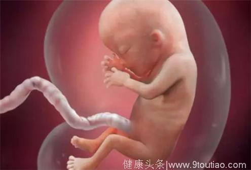 孕期要怎么睡对胎儿发育最好？很多孕妈都理解错了！