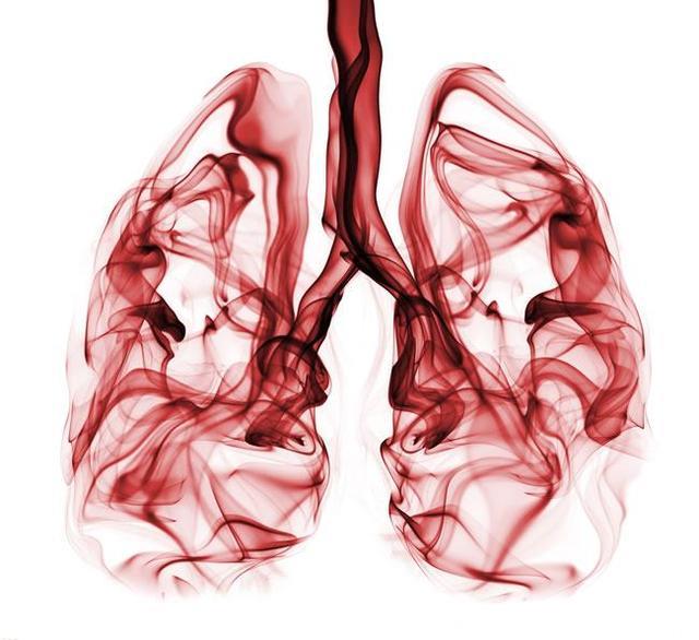 立秋后要如何养肺，及早收藏才能预防！