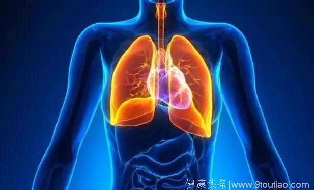 广东省中医院副院长张忠德：正是养肺好时机，几款夏季养肺药膳不容错过