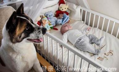 孕20周时发现狗狗常对自己哭，检查才发现自己和宝宝差点没命