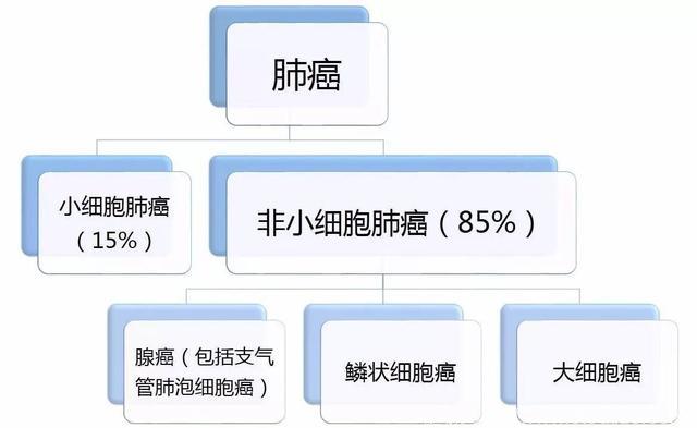 肺癌是“双料冠军”：发病和死亡都是第一