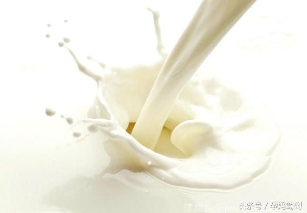 牛奶、酸奶、奶酪，孕妇补钙选哪个更好？