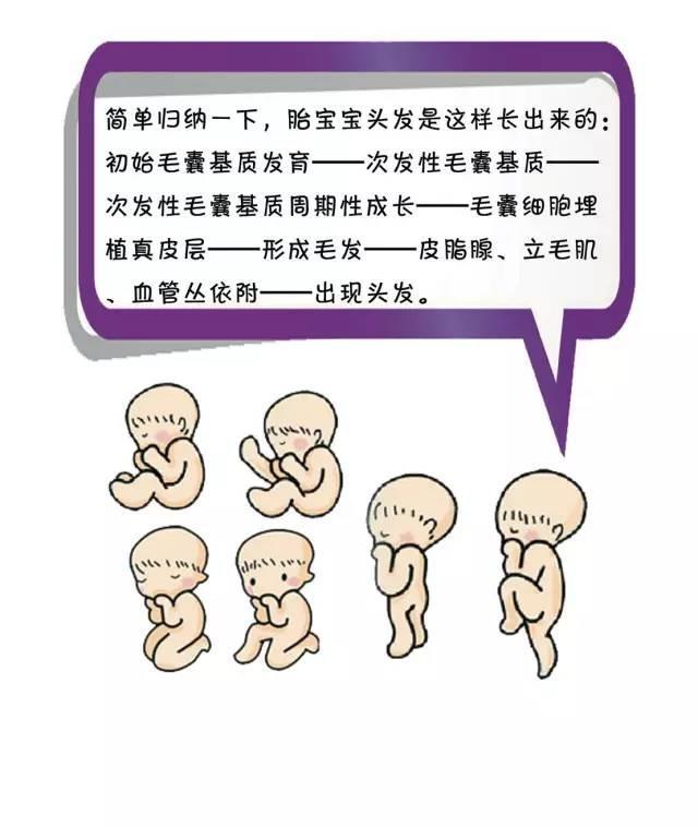 宝宝枕秃等于缺钙吗？新生宝宝大量脱发是病态吗？