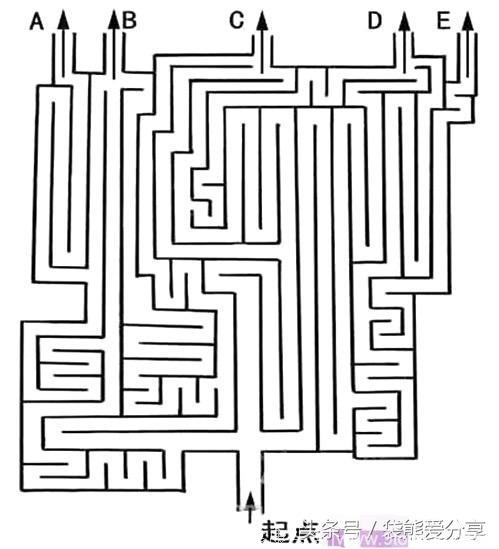 一张神奇的迷宫图，可以测你适合什么职业