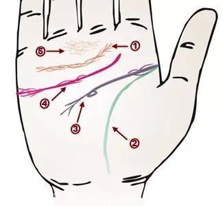 掌纹竟可以诊断肝癌、糖尿病、高血压、妇科病、脑溢血？