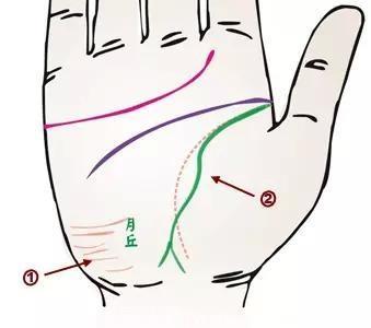 掌纹竟可以诊断肝癌、糖尿病、高血压、妇科病、脑溢血？