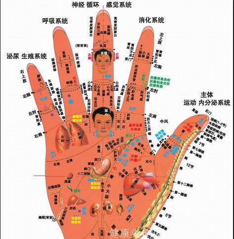手是人体的缩影 肝功能好不好 看食指就知道！