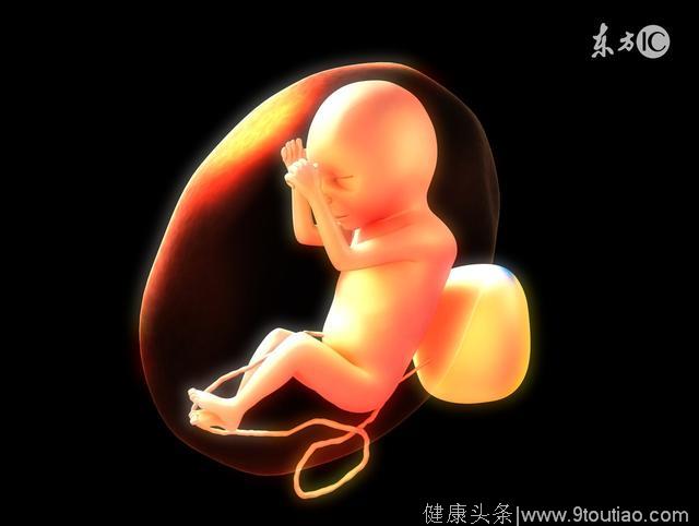 超好奇！胎儿每天干什么
