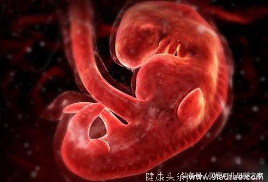 怀孕五个月胎儿发育早知道 揭秘五个月胎儿有多大