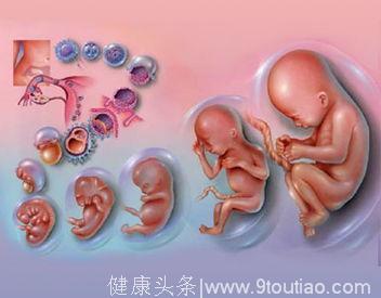 试管移植为什么有的胚胎不着床？子宫内膜因素很重要