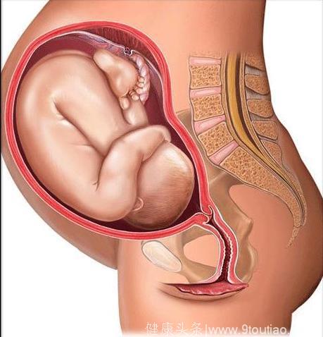 如果胎动是这样的，说明宝宝正在你肚子里打嗝呢！
