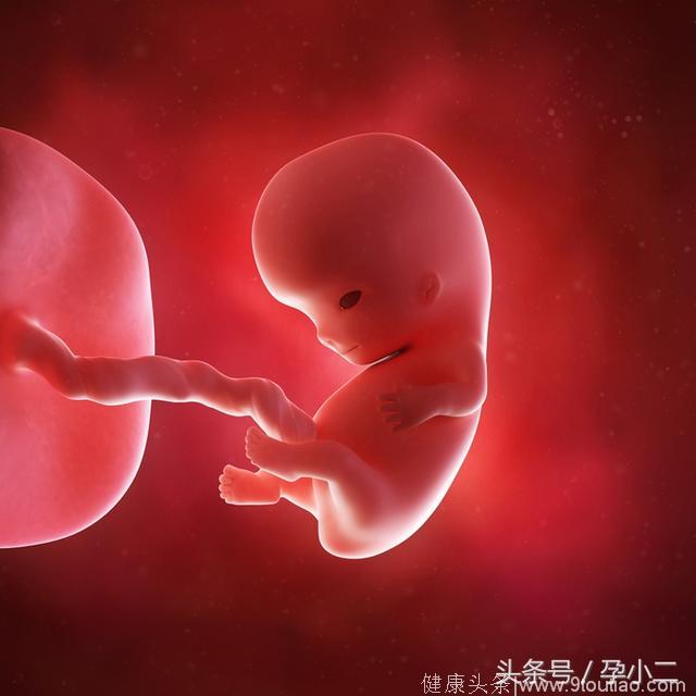 孕期每月胎教对照表！月月都不同，别再弄错了！