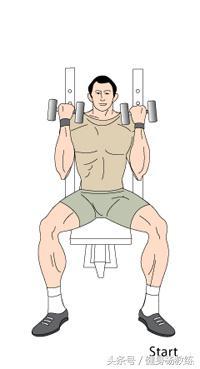 阿诺德推举——一个能同时兼顾肩膀宽度与体积的好动作，健身必选