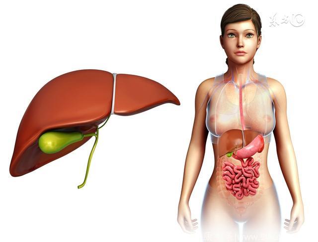 养肝等于养命，出现3个迹象，是肝癌的早期表现
